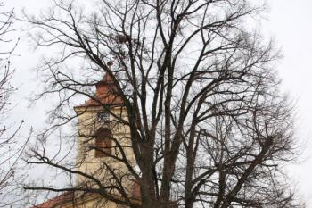Kostel od západu s památnou lípou ( © Ivan Grisa 04/2010)