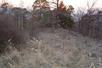 Pohled na opyš z východu (© Prudký Martin, 03/2004)