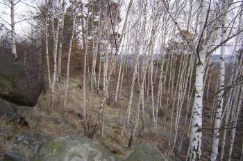  (© Prudký Martin, 03/2004)