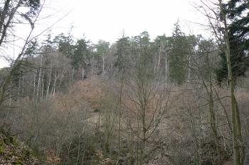  (© Prudký Martin, 04/2010)