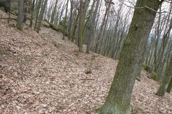 Vpravo zbytky valu (© Prudký Martin, 04/2010)