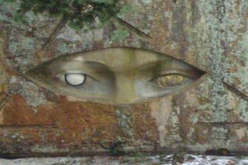 Zlaté oči (© Zuzana Holasová, 04/2010)