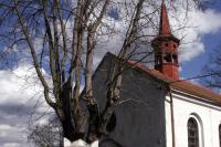 hřbitovní kaple sv. Liboria