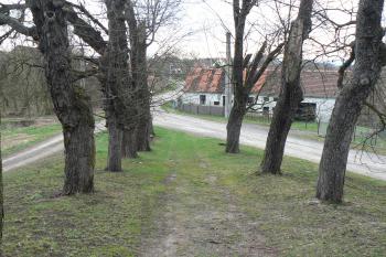 Alej před kostelem (© Prudký Martin, 04/2010)