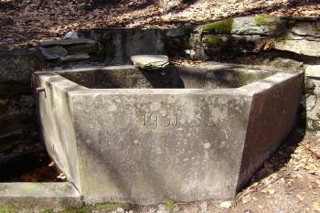studánka (© Zuzana Holasová, 04/2010)