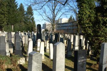hřbitov od jihu ( © Milan Caha 04/2010)