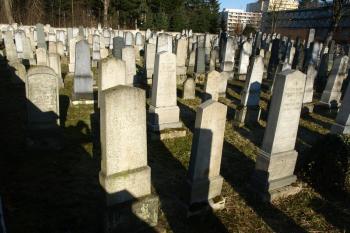 hřbitov od jihu ( © Milan Caha 04/2010)