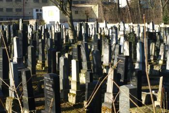 hřbitov od severu ( © Milan Caha 04/2010)