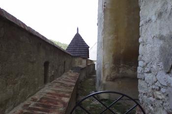  (© Michal Brůža, 09/2011)