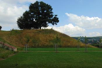 Jv. zemní bastion (© Dušan Dohňanský  07/2021)