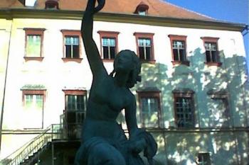  (© Milan Vaněrka 08/2006)