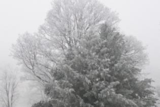 Předzámčí (© Milan Vaněrka, 12/2007)