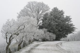 Předzámčí (© Milan Vaněrka, 12/2007)