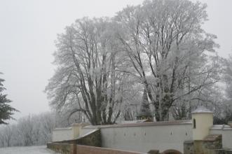 Předzámčí se zahradou (© Milan Vaněrka, 12/2007)