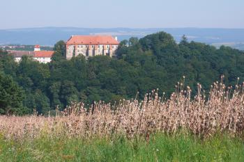 Pohled na zámek při příjezdu (© Libuše Kremsová, 08/2009)