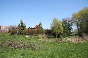 Hrana tvrziště snad s původní zdí ( © Petr Nožička 04/2010)