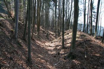  ( © Petr Nožička 04/2010)