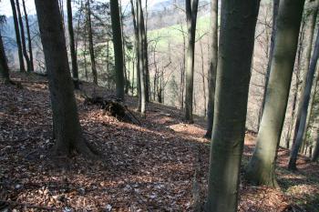  ( © Petr Nožička 04/2010)