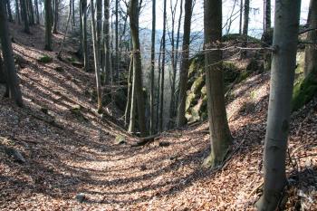  ( © Petr Nožička 04/2010)