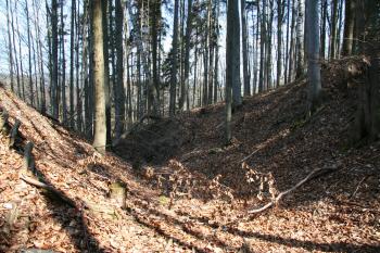  ( © Petr Nožička 04/2010)