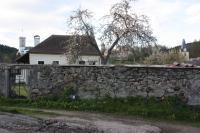 starý židovský hřbitov