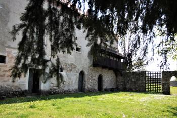  (© Vanda Ilićová 08/2022)