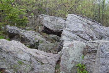 Medvědí kámen - vrcholová skaliska (© Zuzana Holasová, 05/2010)
