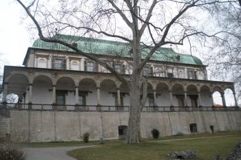  (© Jiří Suchomel, 02/2009)