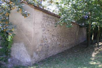  (© Milan Náplava, 08/2007)