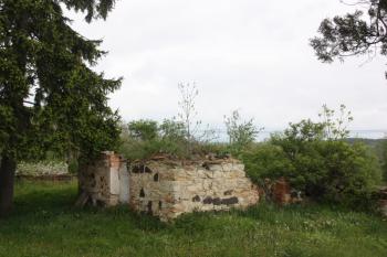 Zřícenina márnice od jihu ( © Ivan Grisa 05/2010)