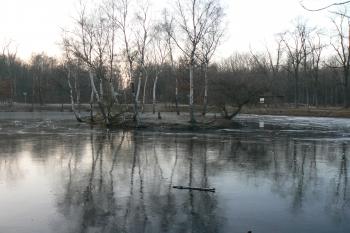 Rybníček na vrcholu (© Prudký Martin, 12/2008)