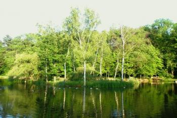 Rybníček s ostrůvkem. (© Prudký Martin, 06/2013)