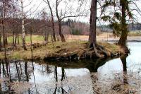 Buchov