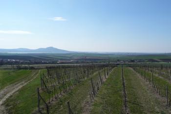 výhled na Pálavské vrchy a Novomlýnské nádrže (© David Hamza, 04/2010)