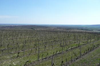 výhled na jih, k Zaječí (© David Hamza, 04/2010)