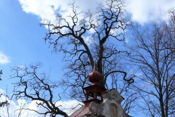kaplička u zámku (© Alena Volná, 4/2007)