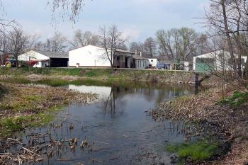 Vodní příkop kolem tvrziště  (© Jiří Cukr, 04/2010)