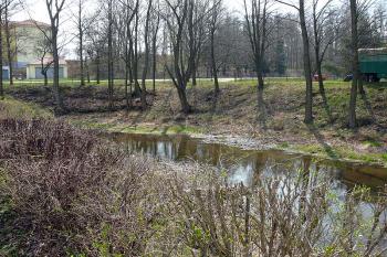 Pohled z tvrziště na jihozápadní část příkopu (© Jiří Cukr, 04/2010)
