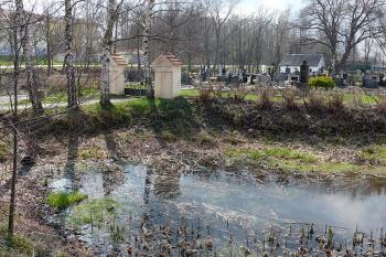 Pohled na tvrziště od severovýchodu (vlevo uměle vytvořený přístup na hřbitov) (© Jiří Cukr, 04/2010)