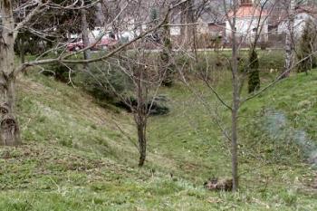 jižní část okružního příkopu od východu ( © Pavel Zany Komárek 11/04/2004)