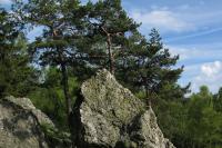 Goethovy skalky