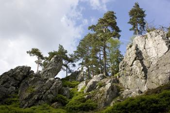 Goethovy skalky (© Martin Karas, 05/2010)