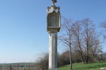 boční pohled (© David Hamza, 04/2010)