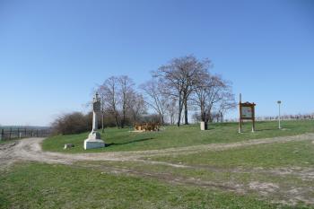 celkový pohled na lokalitu (© David Hamza, 04/2010)