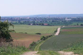 Vinohrady - Vlčí doly  u Smržic - Pohled z jižních svahů na Prostějov (© Ivo Rozehnal 2009)