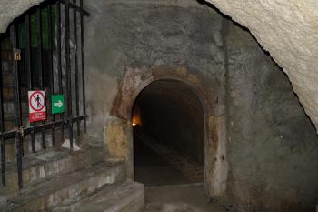  (© Karel Husák, 07/2011)