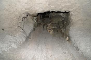  (© Karel Husák, 07/2011)