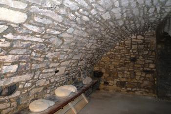 výstava amonitů (© Karel Husák, 07/2011)