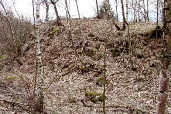 východní část jádra přes okružní příkop ( © Pavel Zany Komárek 11/04/2004)