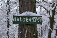 Galgen/šibenice
